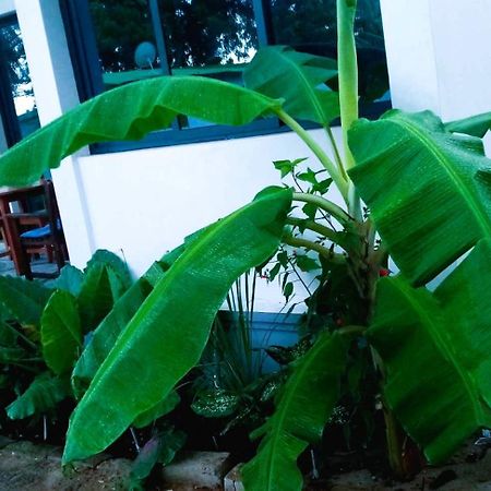 Bungalow Ramena Beach Antsiranana Andjamen Zewnętrze zdjęcie