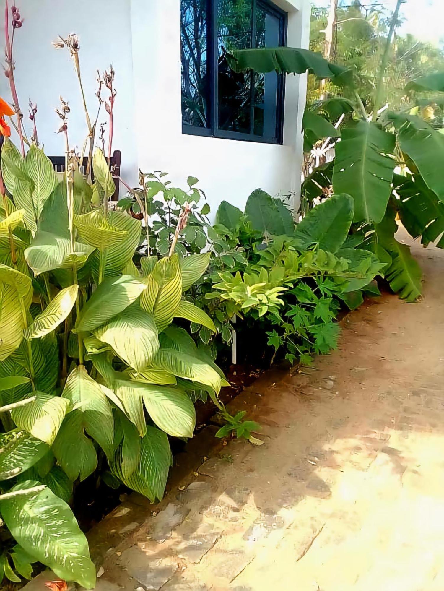 Bungalow Ramena Beach Antsiranana Andjamen Zewnętrze zdjęcie